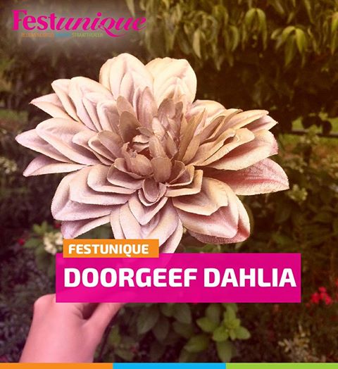 Doorgeef Dahlia gaat rond in Beltrum